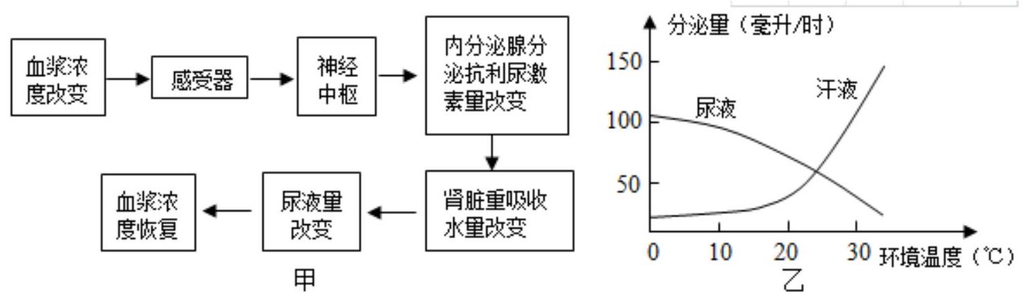 mp_15b90f8773.jpg