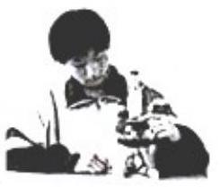 mp_1715992c16.jpg