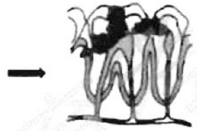 mp_172185c024.jpg