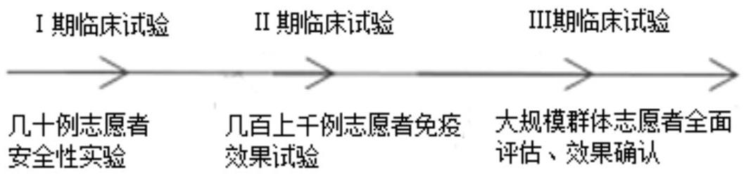 mp_190f92cfb4.jpg