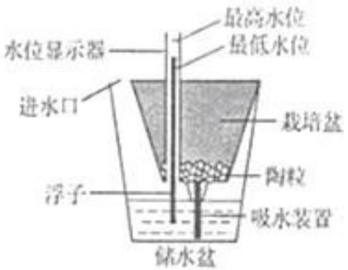 mp_19a4753b00.jpg