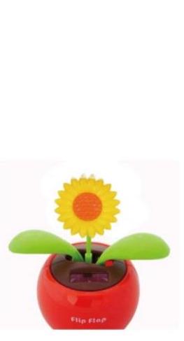mp_19b8ab8f31.jpg