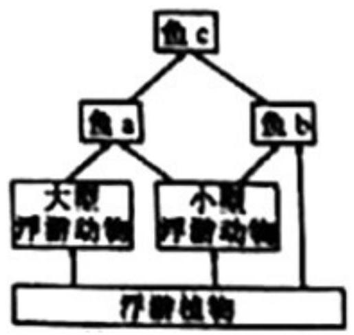 mp_1ab40bf963.jpg