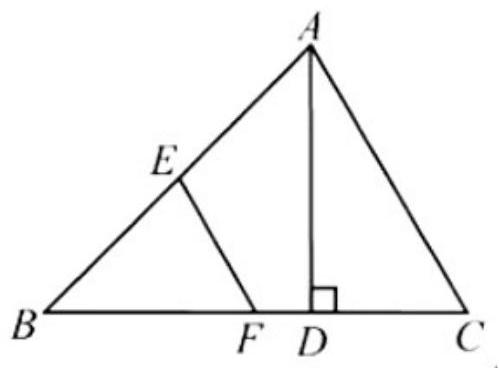 mp_1aeec13606.jpg
