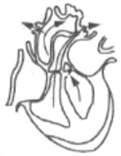 mp_1b98e115f4.jpg