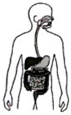 mp_1d877eebd4.jpg