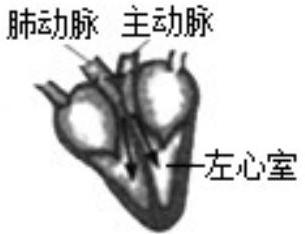 mp_1dba681437.jpg