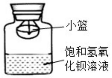 mp_1dcdc6c199.jpg