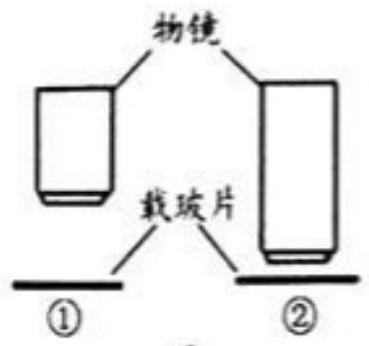 mp_1e081fac72.jpg