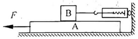 mp_1e24a3c1d7.jpg