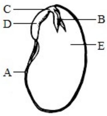 mp_1e2737bdd6.jpg