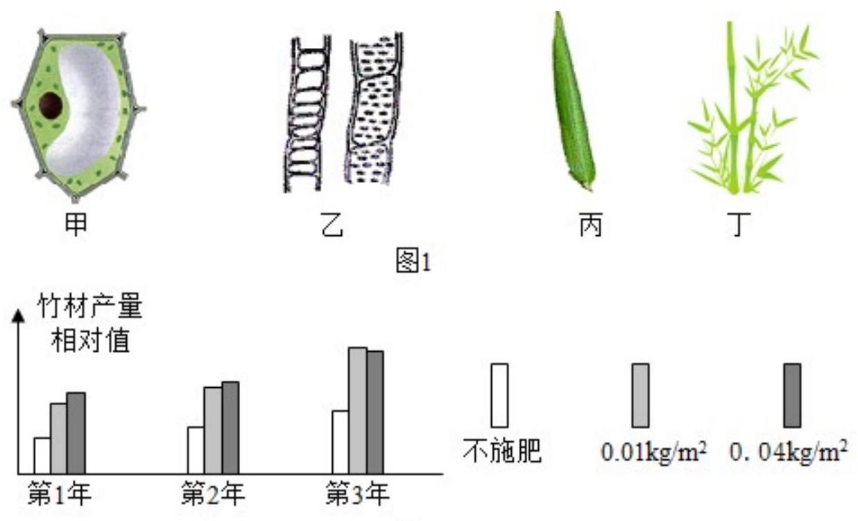 mp_1e7d478f78.jpg