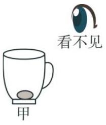 mp_1ee95f4811.jpg