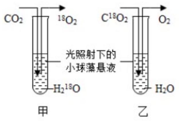 mp_1f6d9303e7.jpg