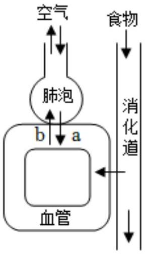 mp_20290f9049.jpg