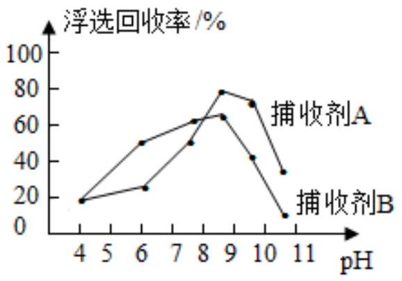 mp_20370e6cd0.jpg