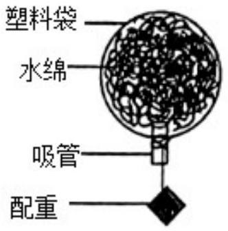 mp_213d858557.jpg