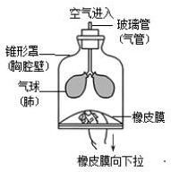 mp_219ccefb08.jpg