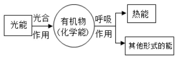 mp_2249ad4c08.jpg