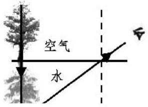 mp_2372aa3636.jpg