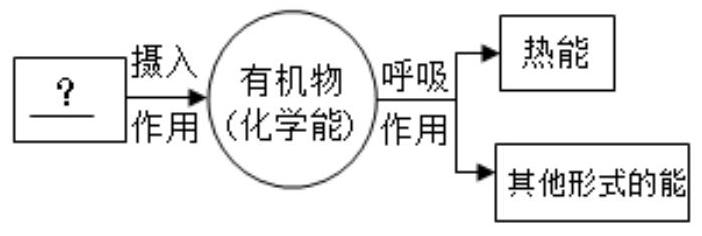 mp_2523d5488f.jpg