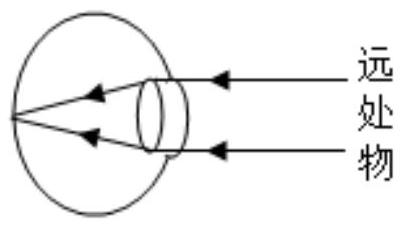 mp_258ded3569.jpg
