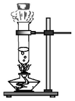 mp_26f3c74321.jpg