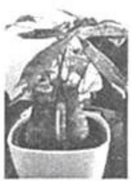 mp_27806aef09.jpg