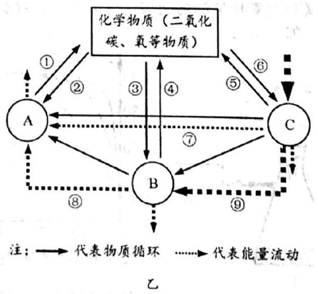 mp_28dc1916cf.jpg