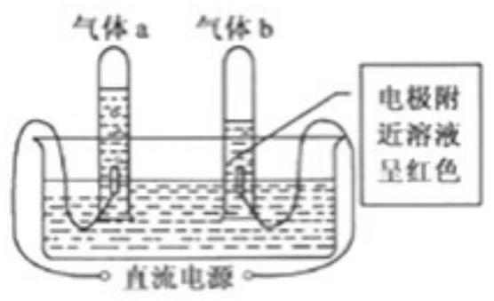 mp_29607cd16c.jpg