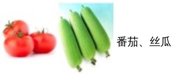 mp_2a3ea5e49e.jpg
