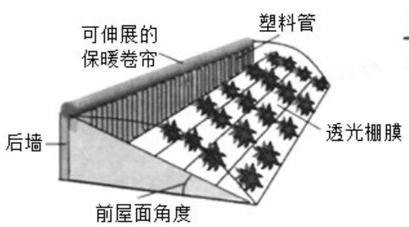 mp_2a95d25d9f.jpg