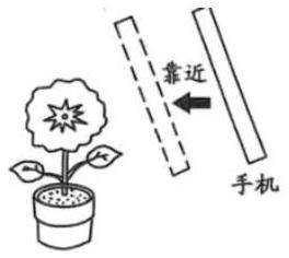 mp_2ab25b07e9.jpg