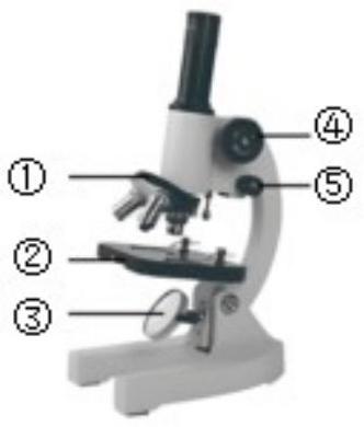 mp_2b101ad186.jpg