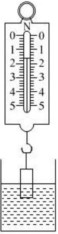 mp_2bb28d0027.jpg