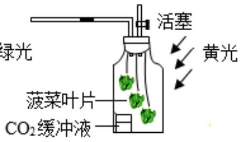 mp_2ce7889ef6.jpg