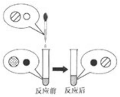 mp_2cf4956950.jpg