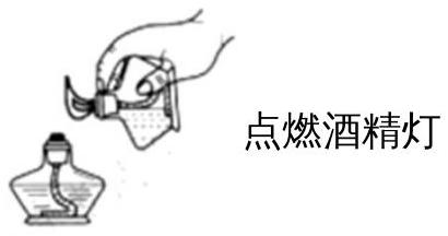 mp_2db06220b5.jpg