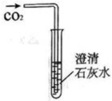 mp_2dbf560986.jpg