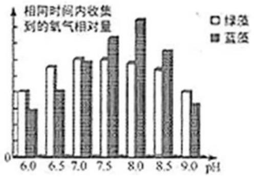 mp_2f7d02ffe6.jpg
