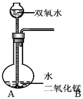 mp_2fef989c8d.jpg