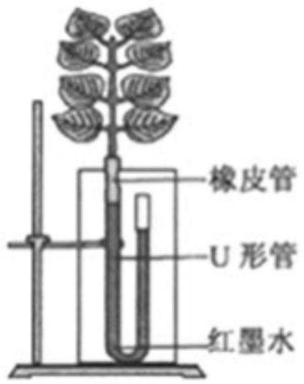 mp_306ad094f9.jpg