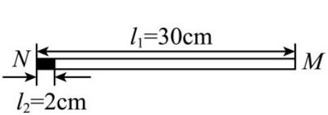 mp_310c917f0b.jpg