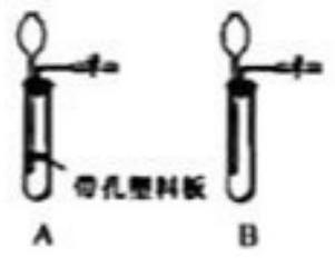 mp_313645d1e3.jpg