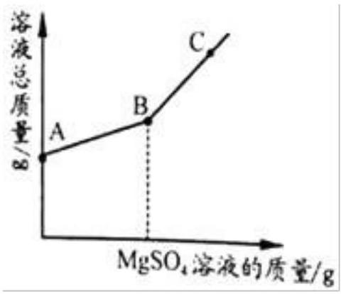 mp_323db8f4c8.jpg