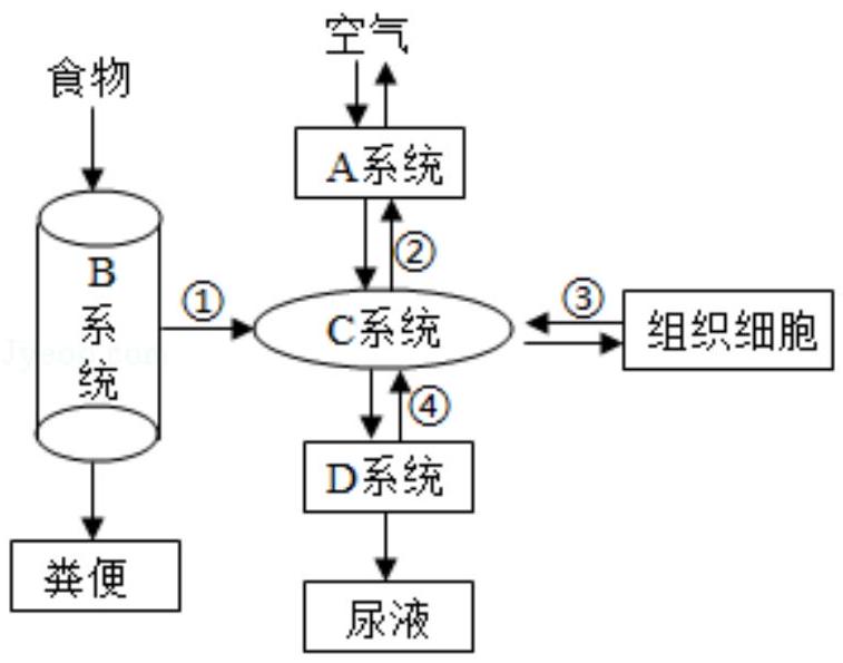 mp_3297d117dc.jpg