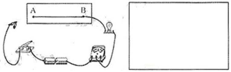 mp_3549bcc1de.jpg
