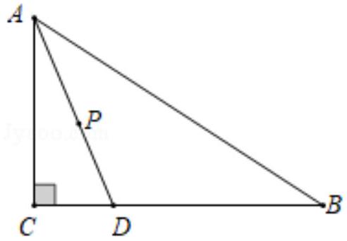 mp_376cf1dcb8.jpg