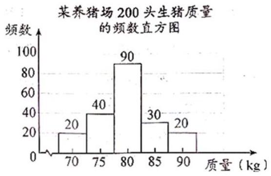 mp_3844f2350a.jpg