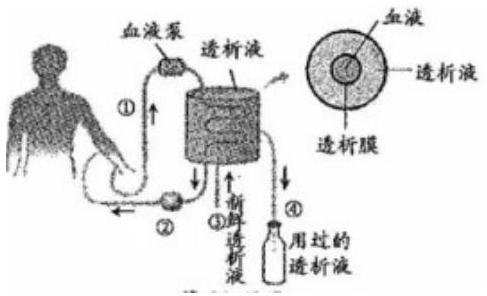 mp_389ce0c01b.jpg